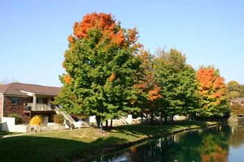 Mature trees